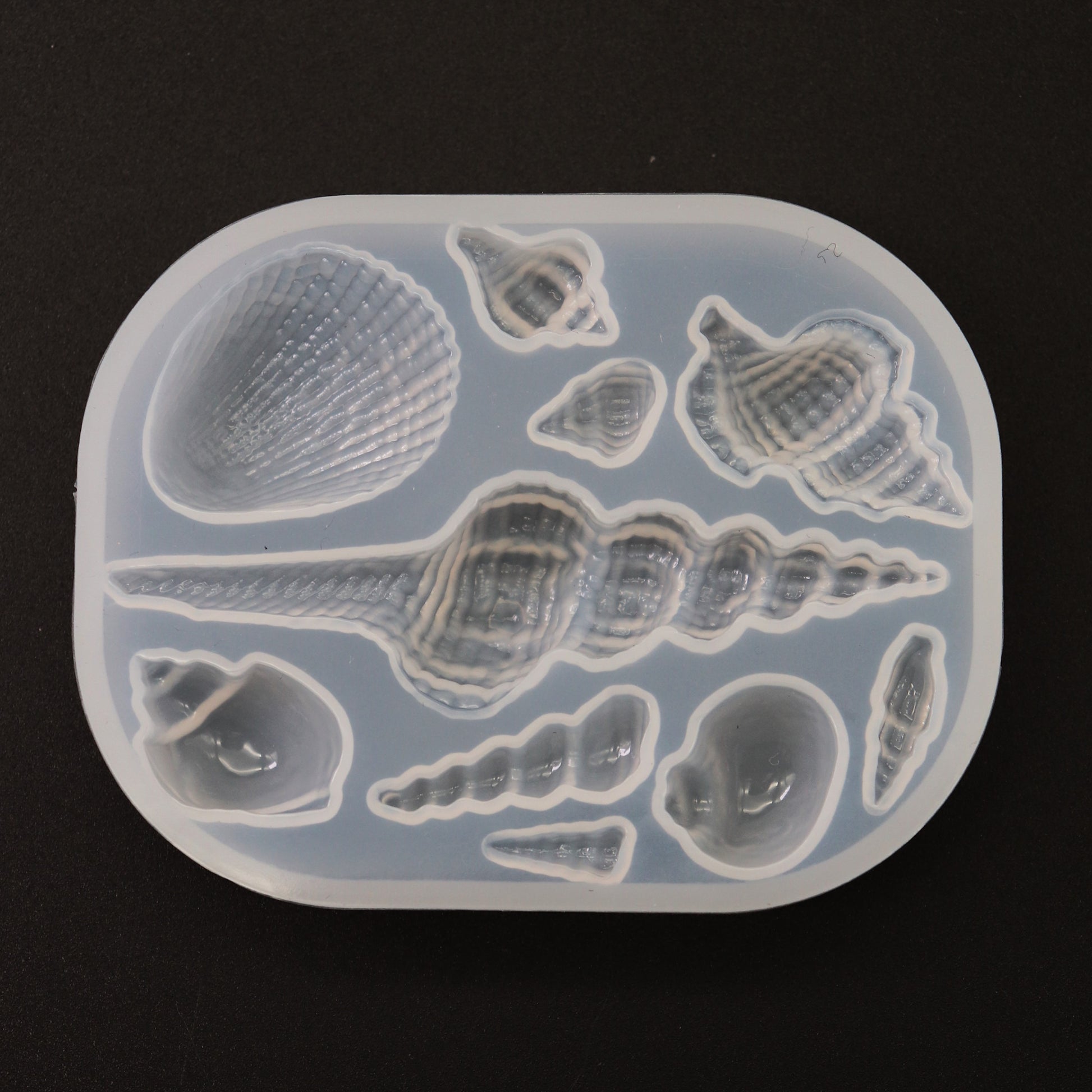 Muscheln Silikonformen